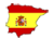 BEAR ROPA DEPORTIVA - Espanol